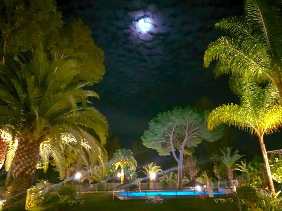 Coqueto Apartamento Puerto Banus * Marbella